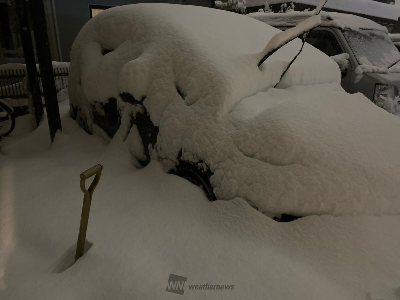 こんばんは。今朝は...