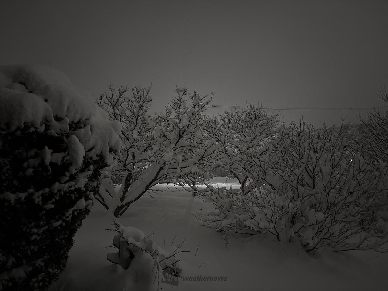 日本海側の大雪の様子 注目の空の写真 ウェザーニュース