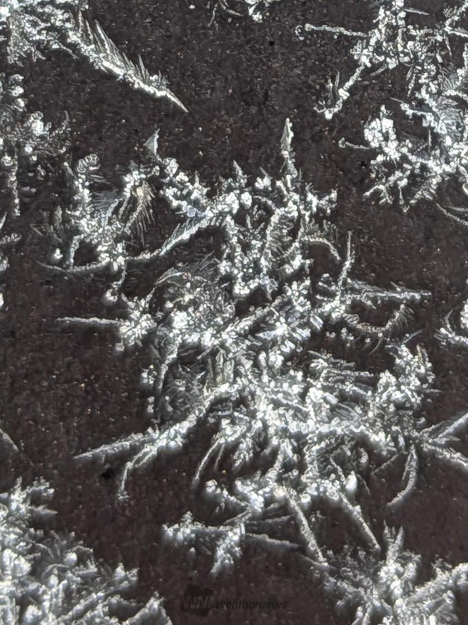 氷の結晶 注目の空の写真 ウェザーニュース