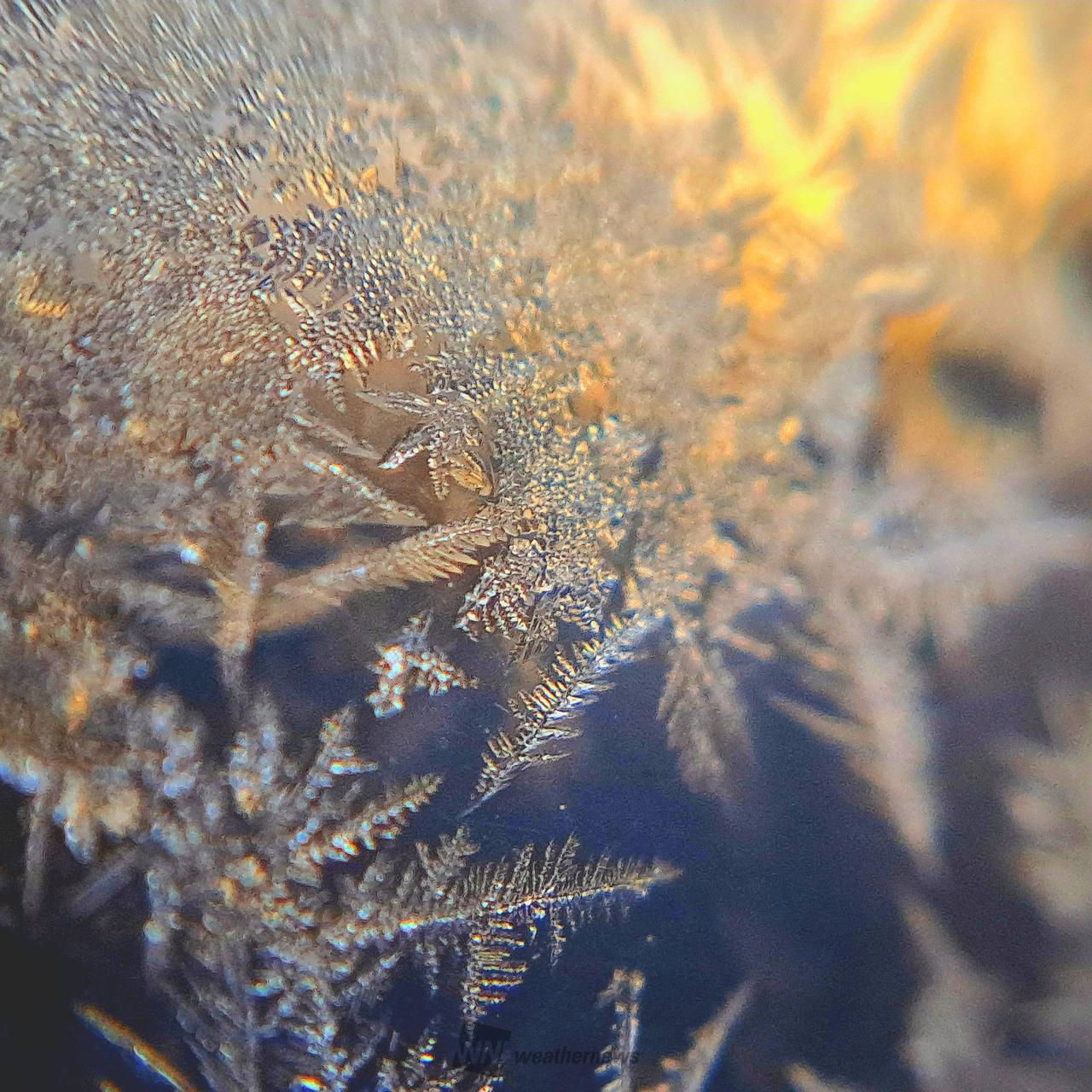 氷の結晶 注目の空の写真 ウェザーニュース