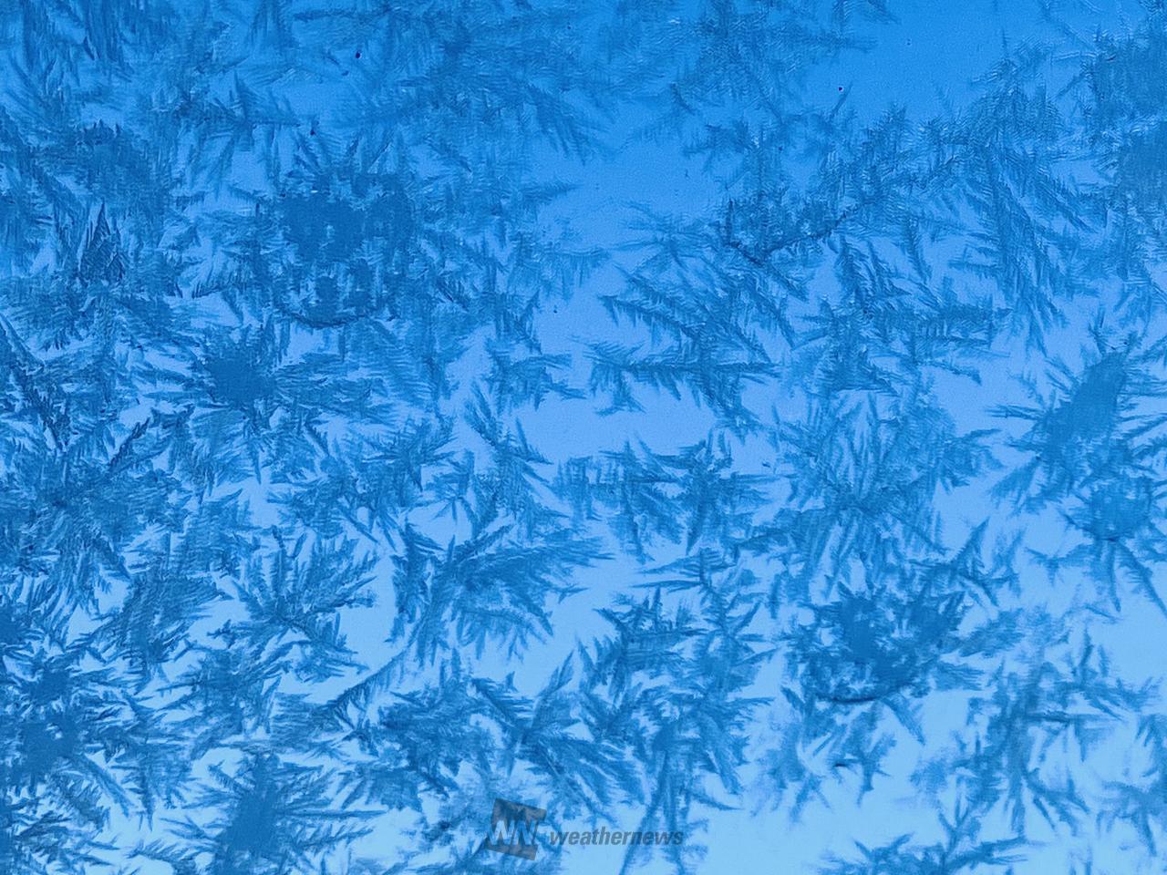 氷の結晶 注目の空の写真 ウェザーニュース