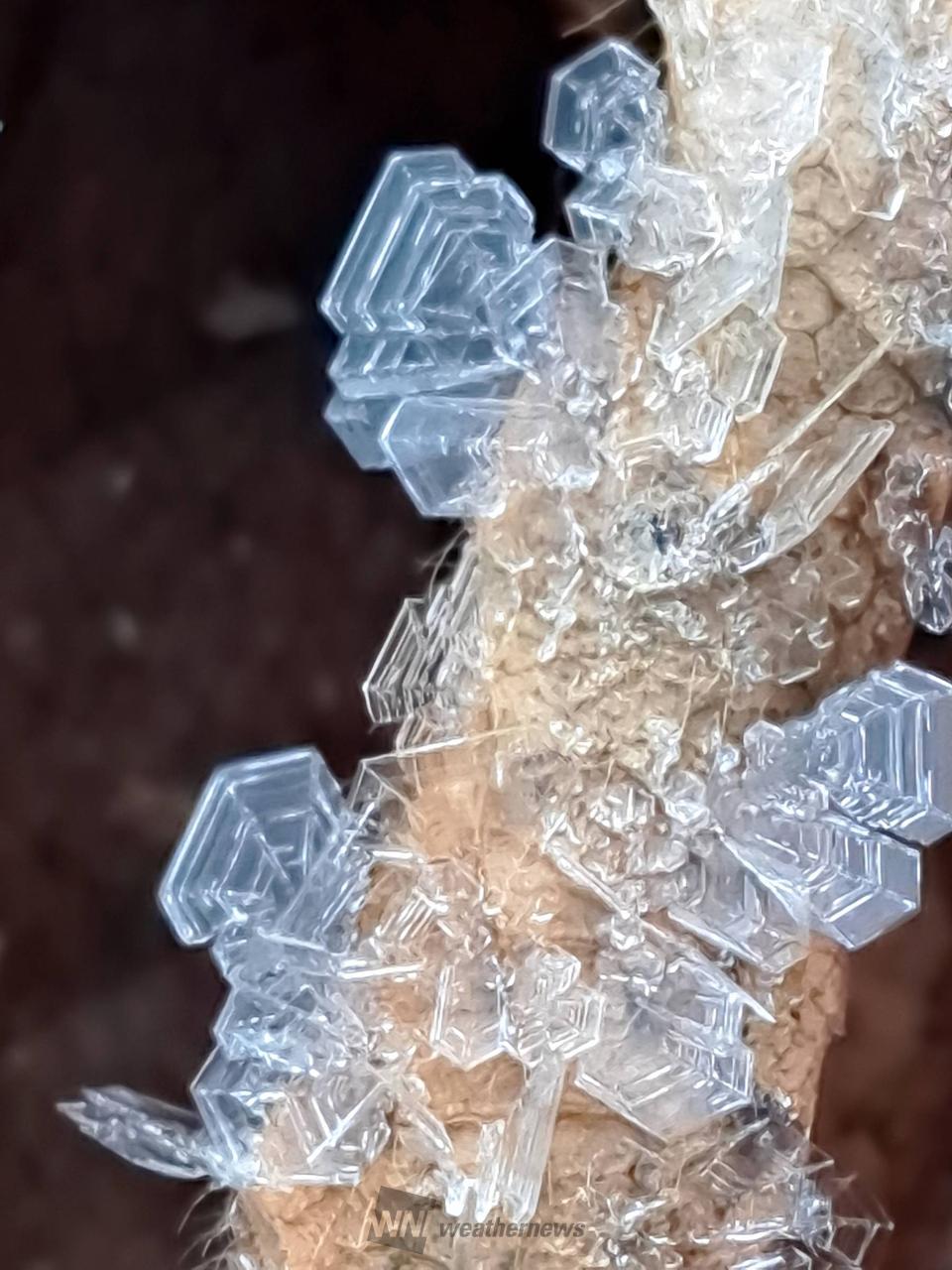 氷の結晶 注目の空の写真 ウェザーニュース