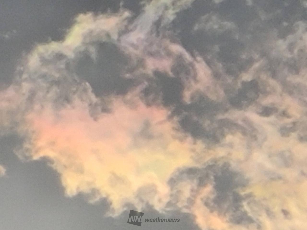 雲彩親株 虹色の雲「彩雲」 注目の空の写真 ウェザーニュース