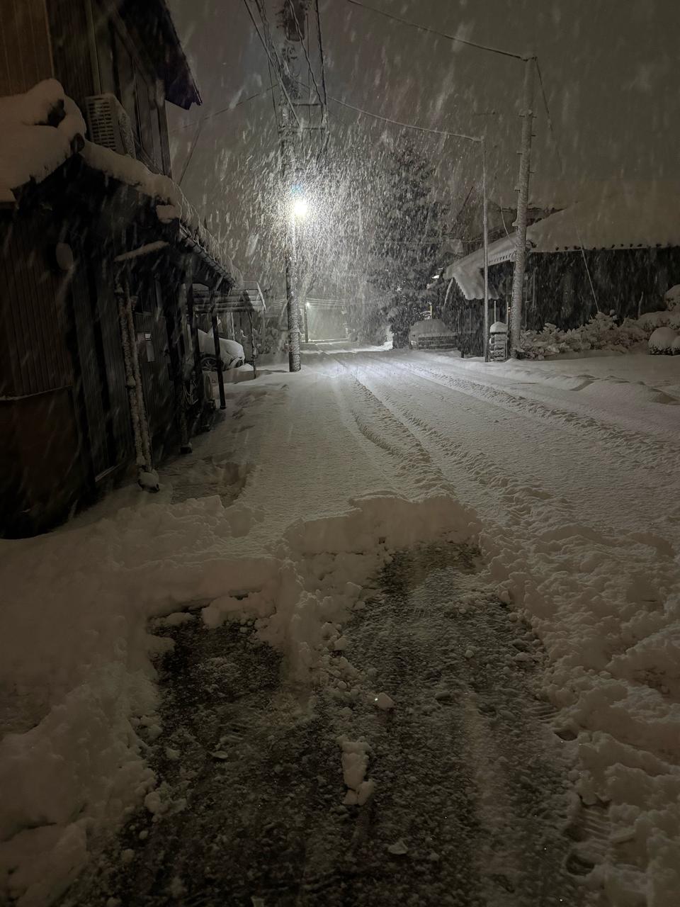 車の上に40センチ...