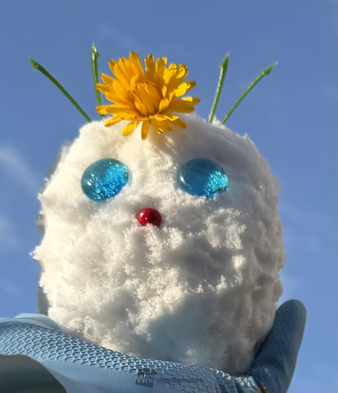雪だるま写真館 注目の空の写真 ウェザーニュース