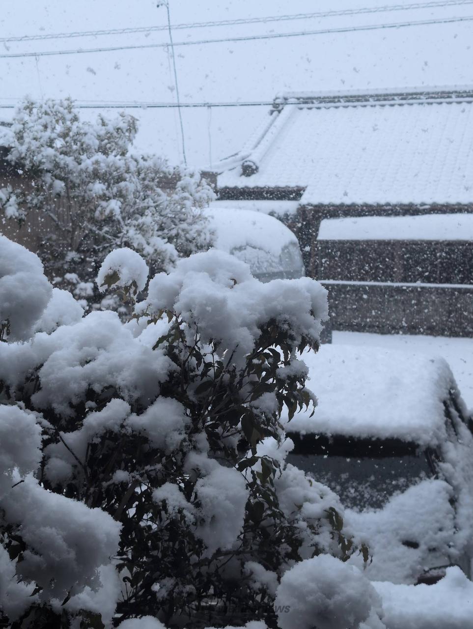 ウェザーリポート