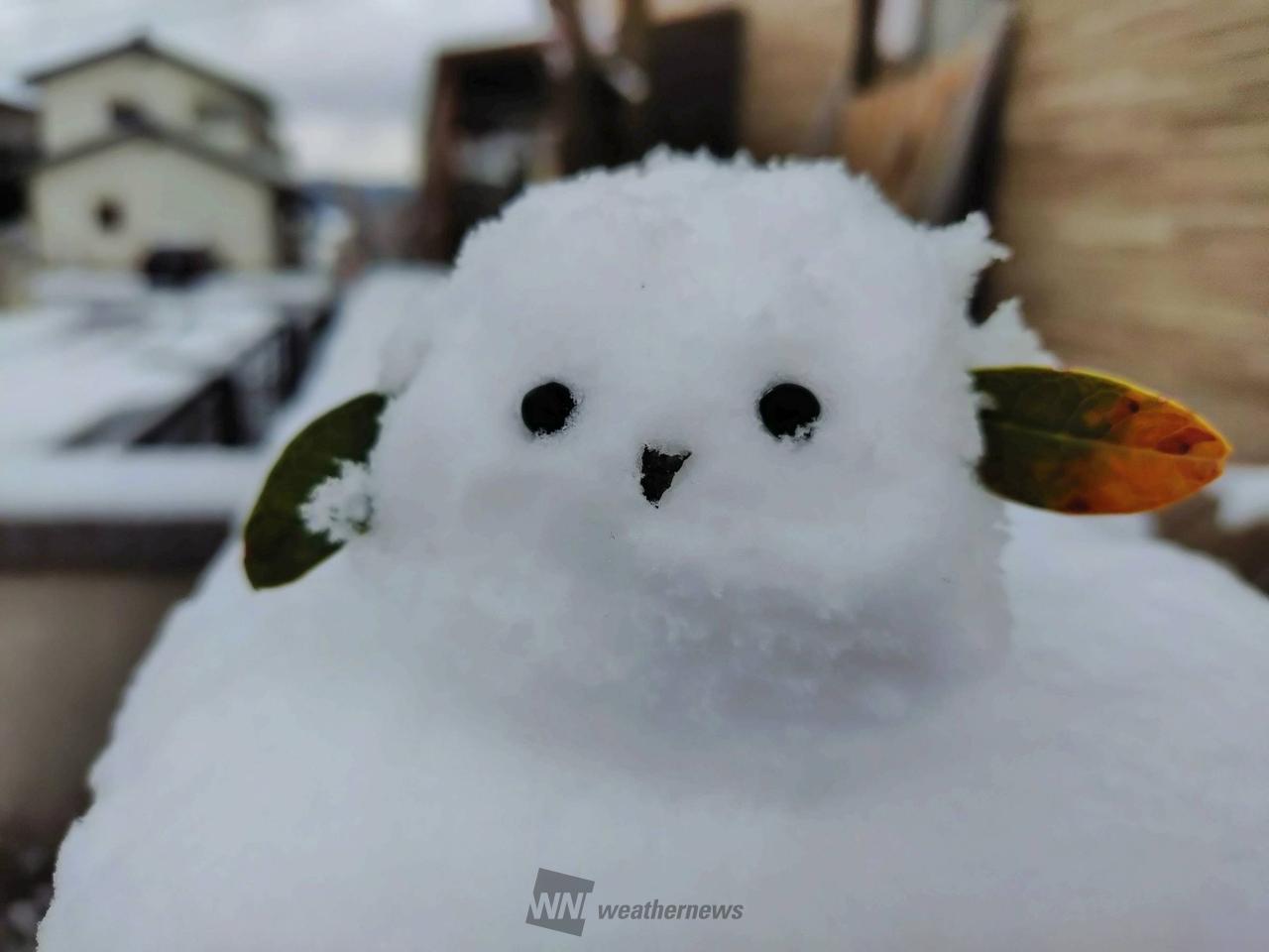 雪だるま写真館 注目の空の写真 ウェザーニュース