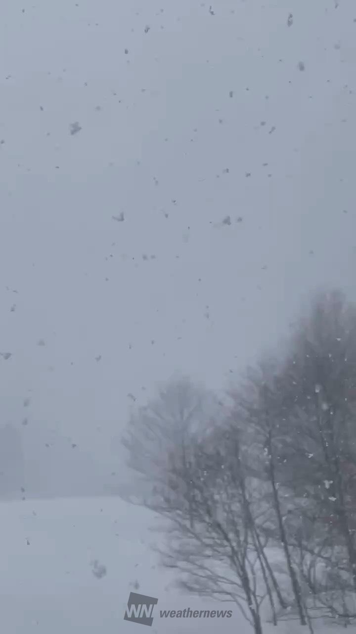 大雪】北陸と長野の状況 注目の空の写真 ウェザーニュース