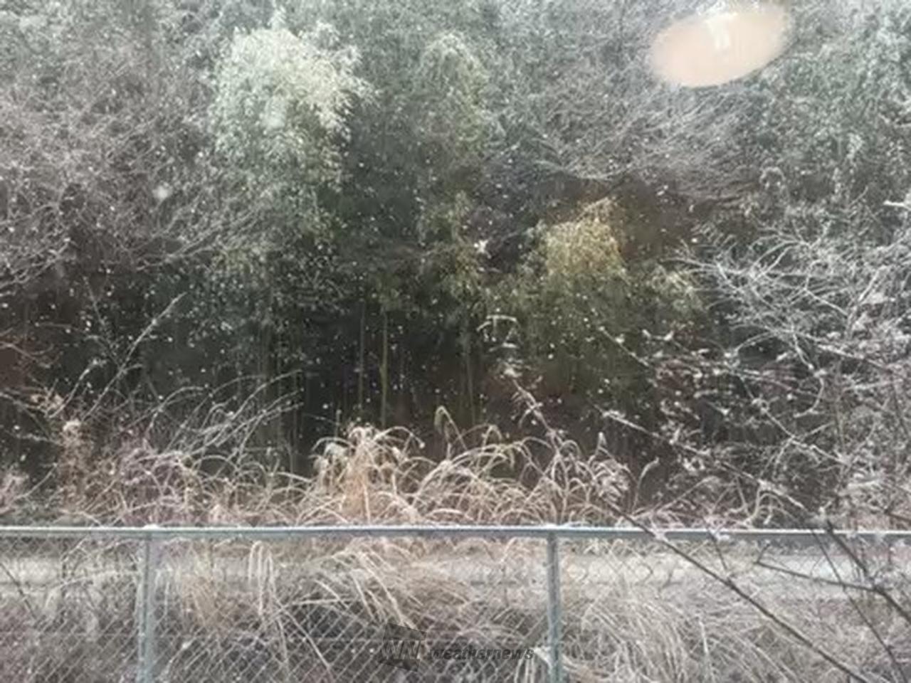 東海の雪の様子 注目の空の写真 ウェザーニュース