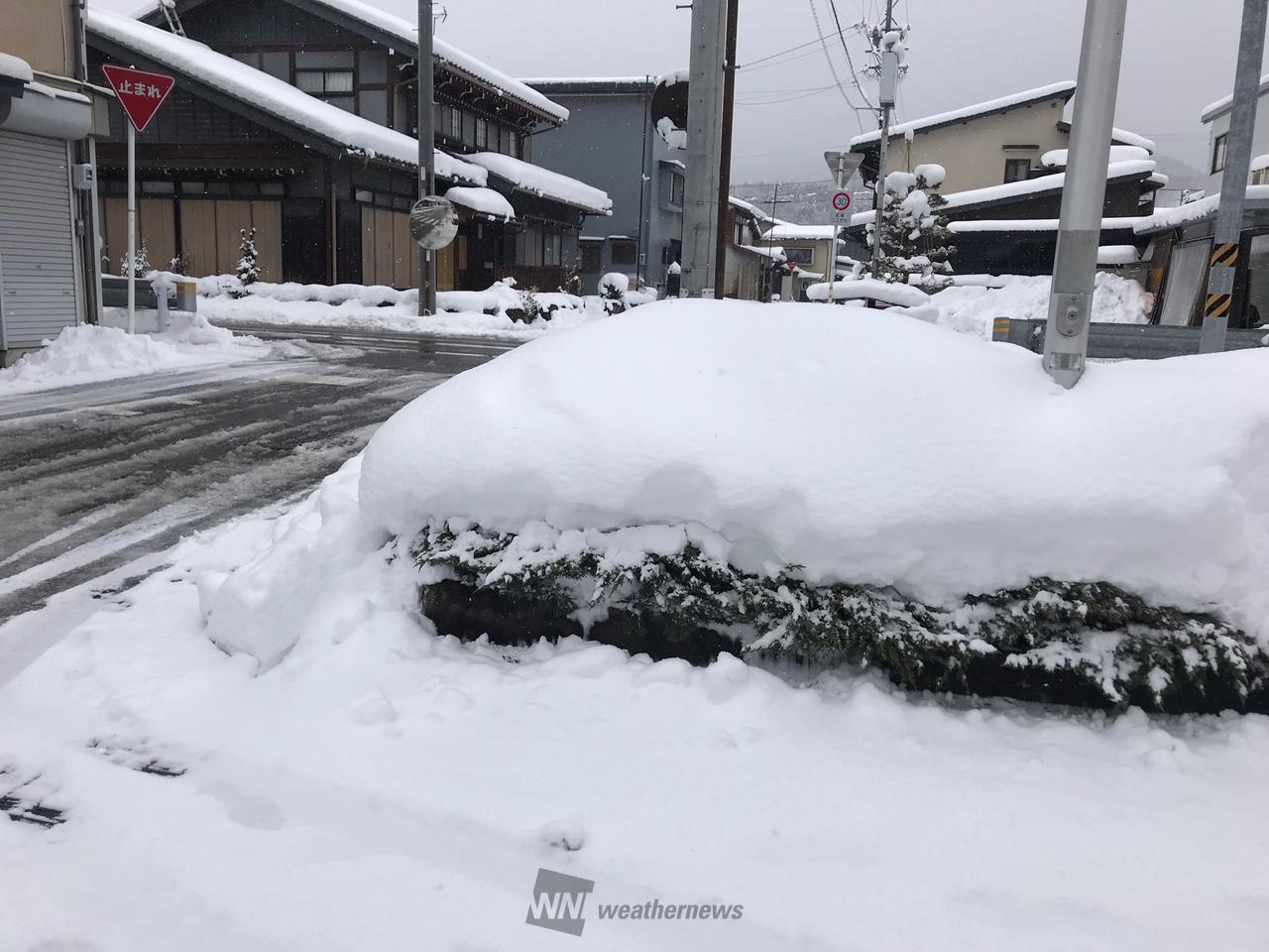 東海の雪の様子 注目の空の写真 ウェザーニュース