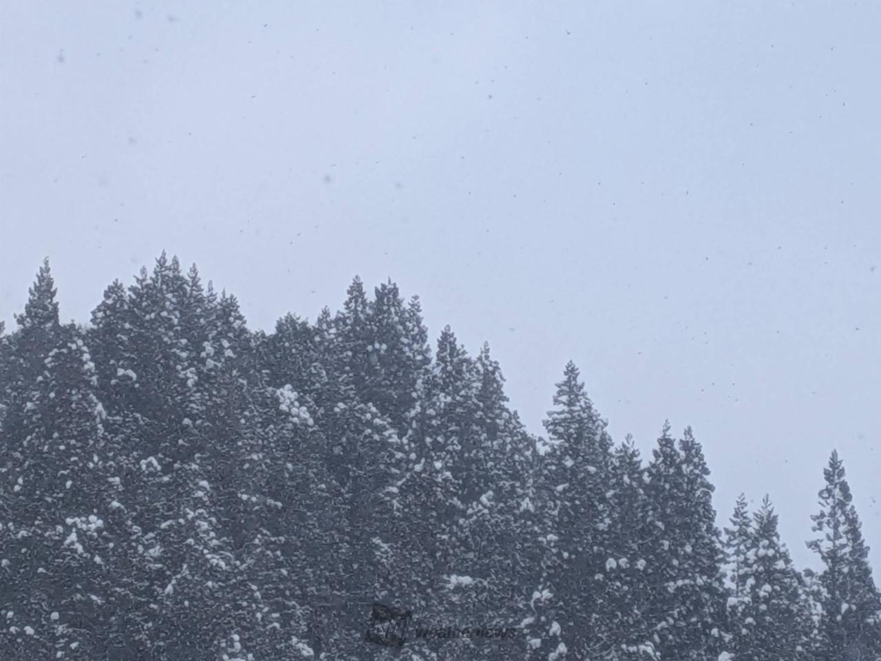 東海の雪の様子 注目の空の写真 ウェザーニュース