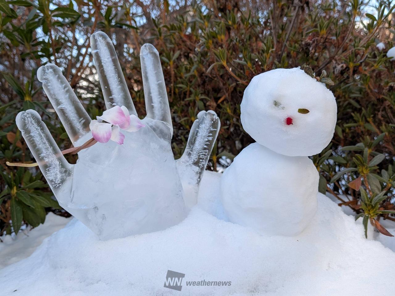 雪だるま写真館 注目の空の写真 ウェザーニュース