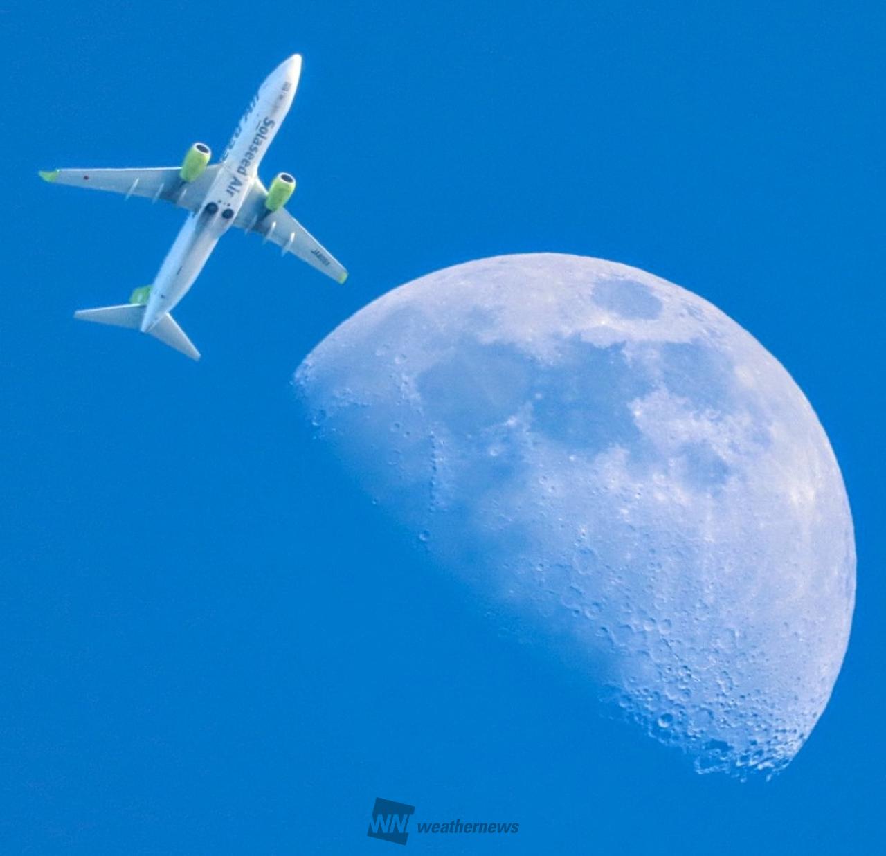 ホワイト厶ーン✕ソラシドエア②(๑'ᴗ' | 神奈川県横須賀市 | (カン・ω