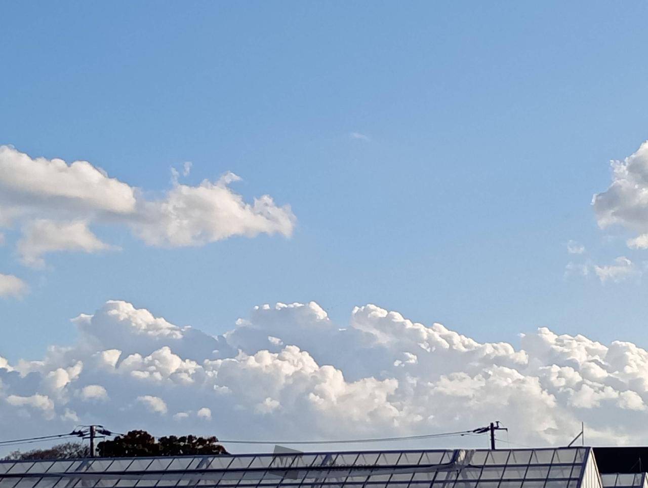 真夏の入道雲のようなもくもく雲が南の空に | 千葉県南房総市 | コスモ