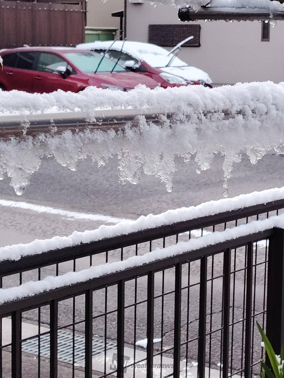 東海も一部で積雪 注目の空の写真 ウェザーニュース