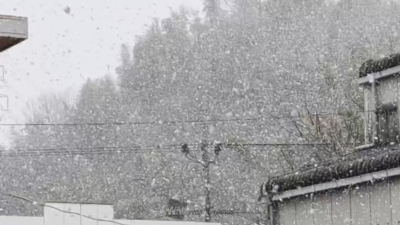 東海も一部で積雪 注目の空の写真 ウェザーニュース
