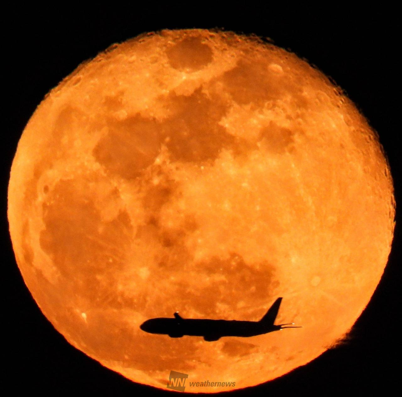 🌕十六夜の月 注目の空の写真 ウェザーニュース