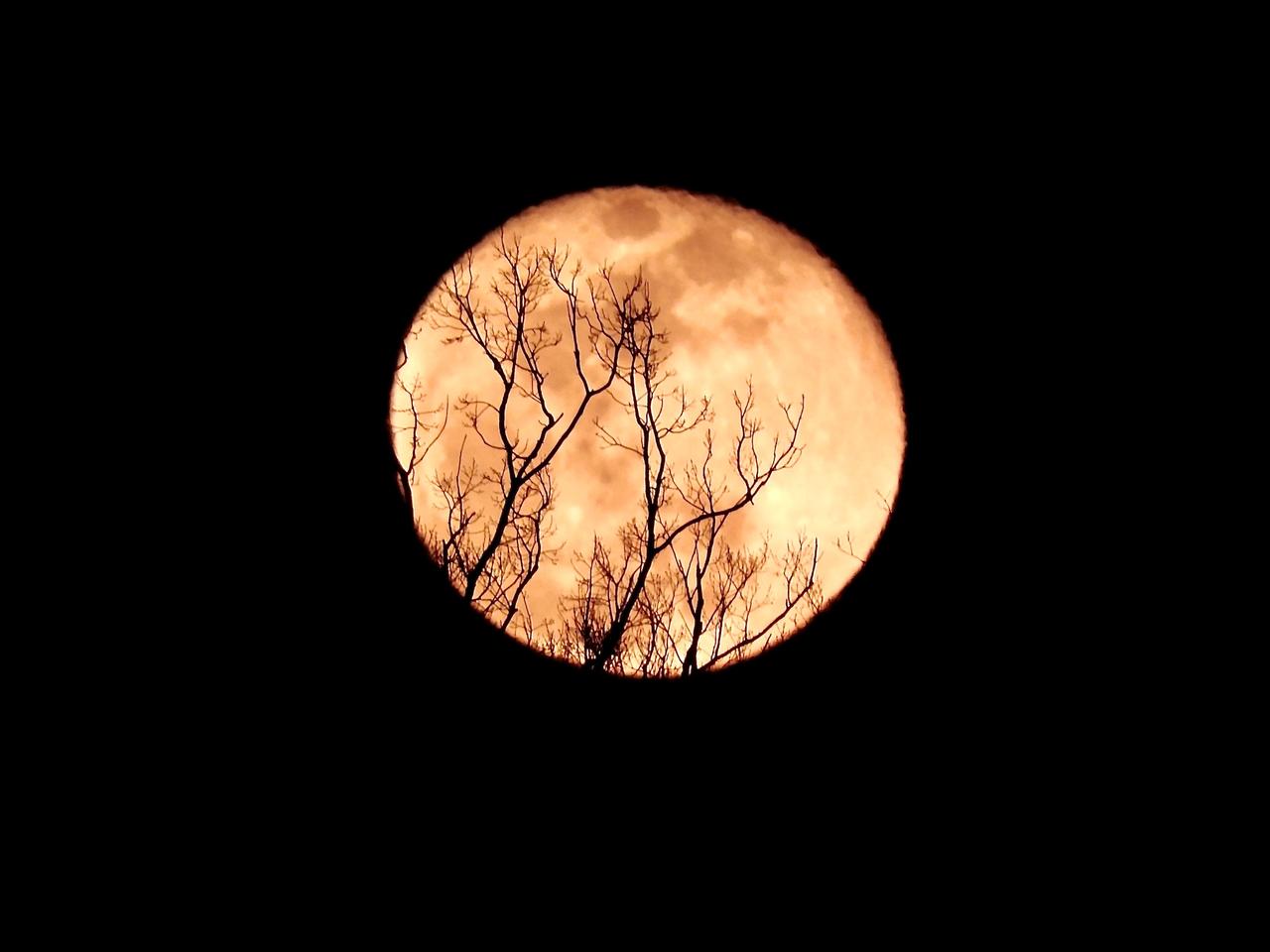 🌕十六夜の月 注目の空の写真 ウェザーニュース