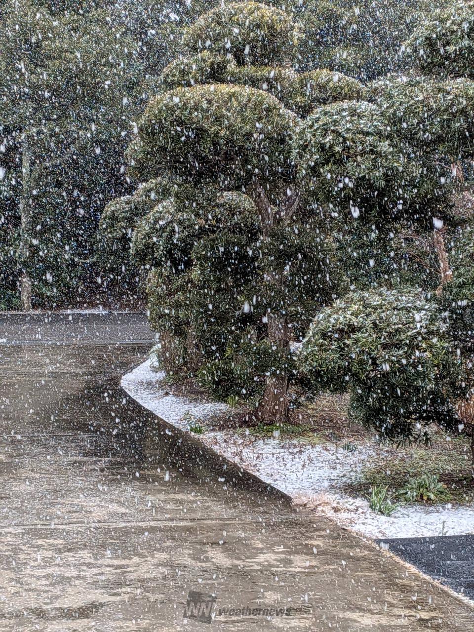 東金 市 の 天気(02)