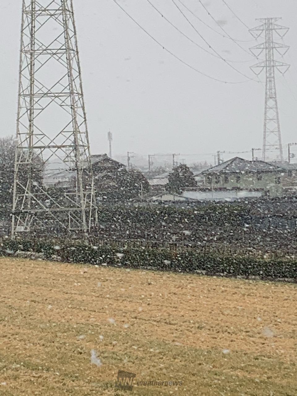 ウェザー ニュース 船橋