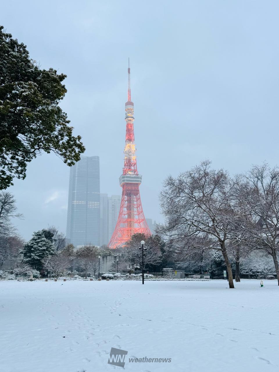 おはようございます...