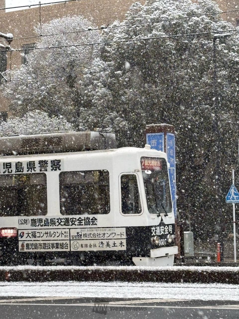 鹿児島市も予報通り...