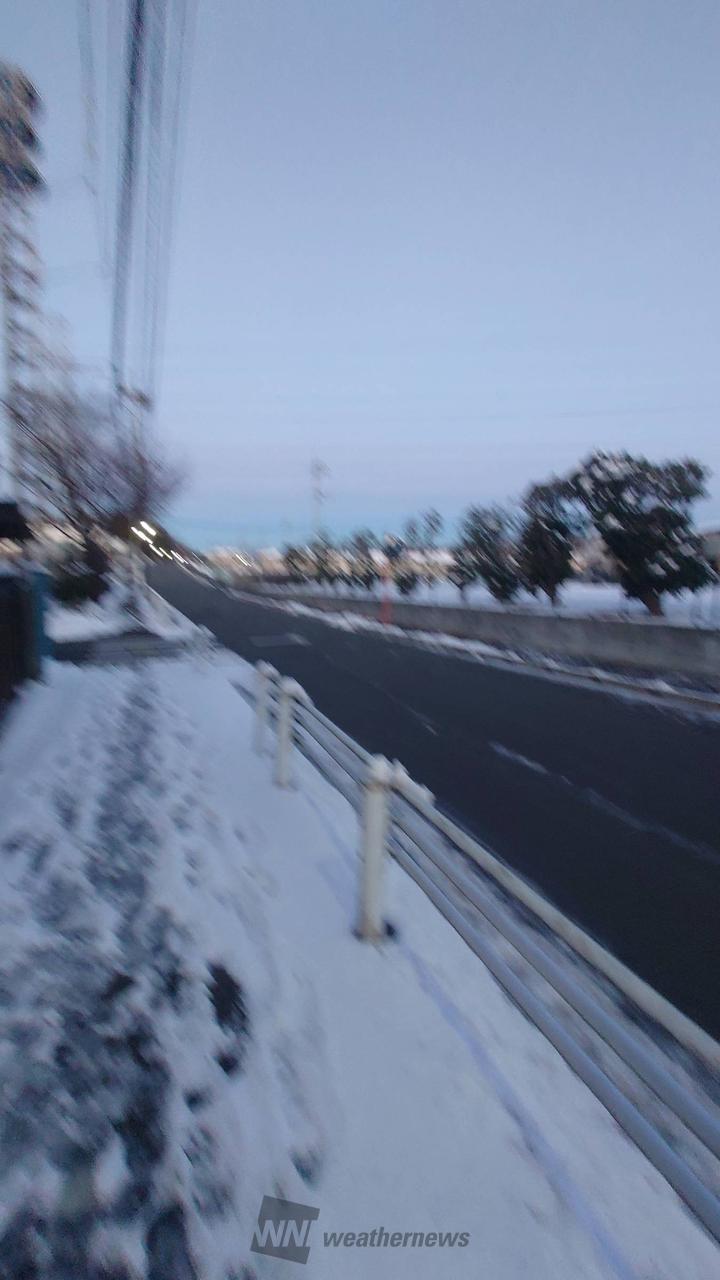 稲城 市 明日 の 天気