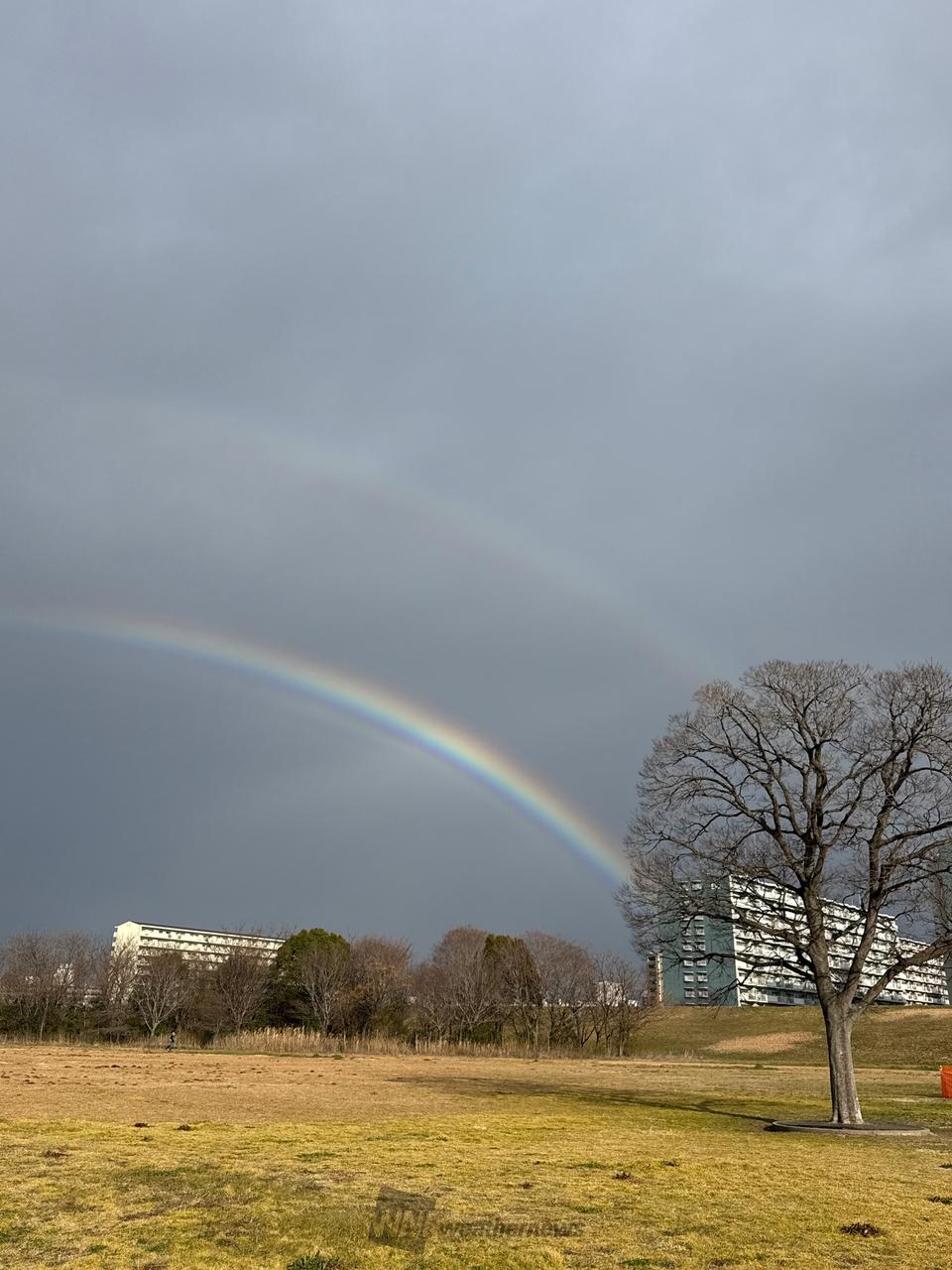 雨の後に虹が出現🌈 注目の空の写真 ウェザーニュース