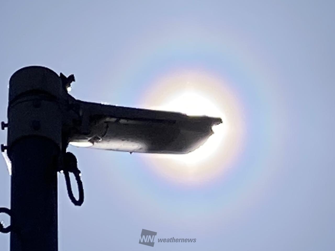 今朝少し空が霞み気...