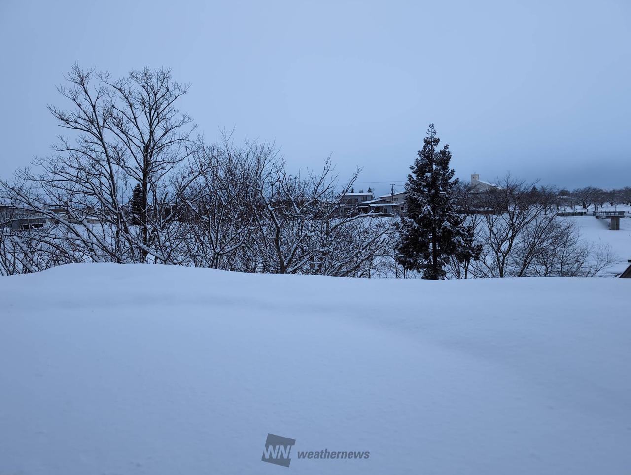 横手 市 除雪