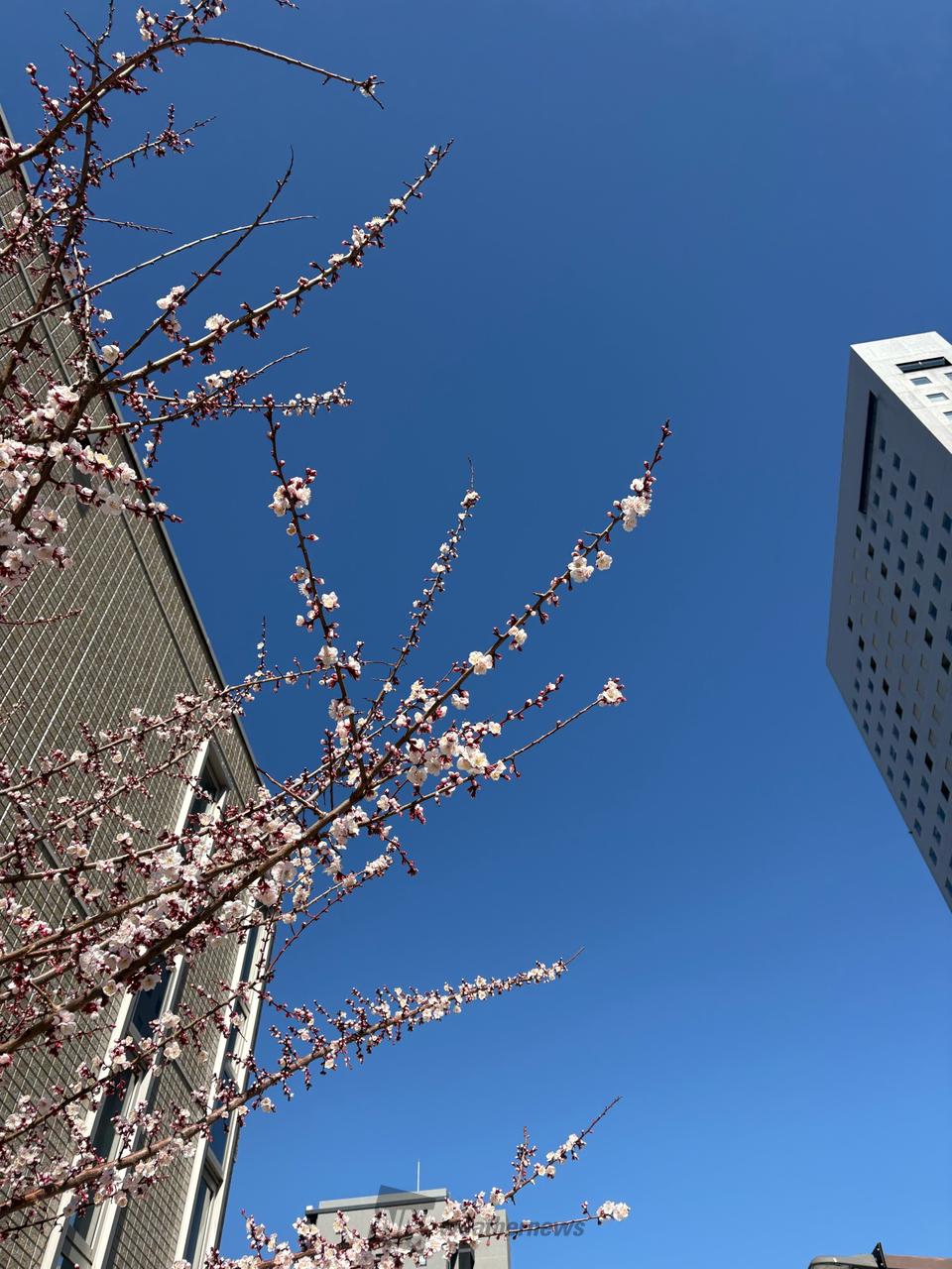公の場での発言・インタビュー報道記録