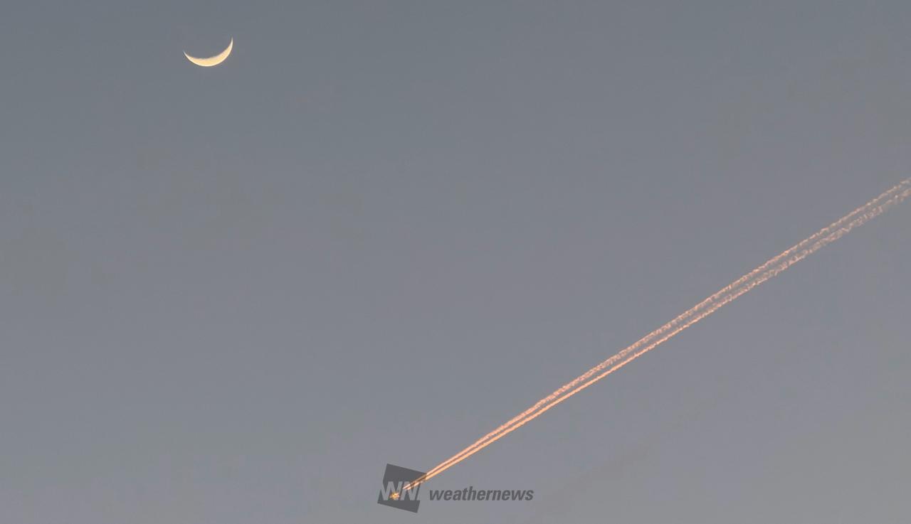 ほっそりムーン 注目の空の写真 ウェザーニュース