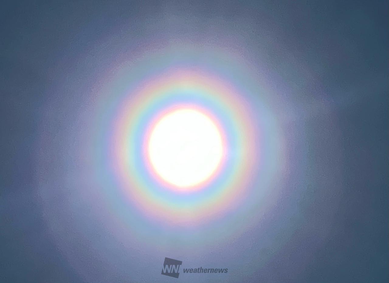 今日 の 花粉 東京(02)