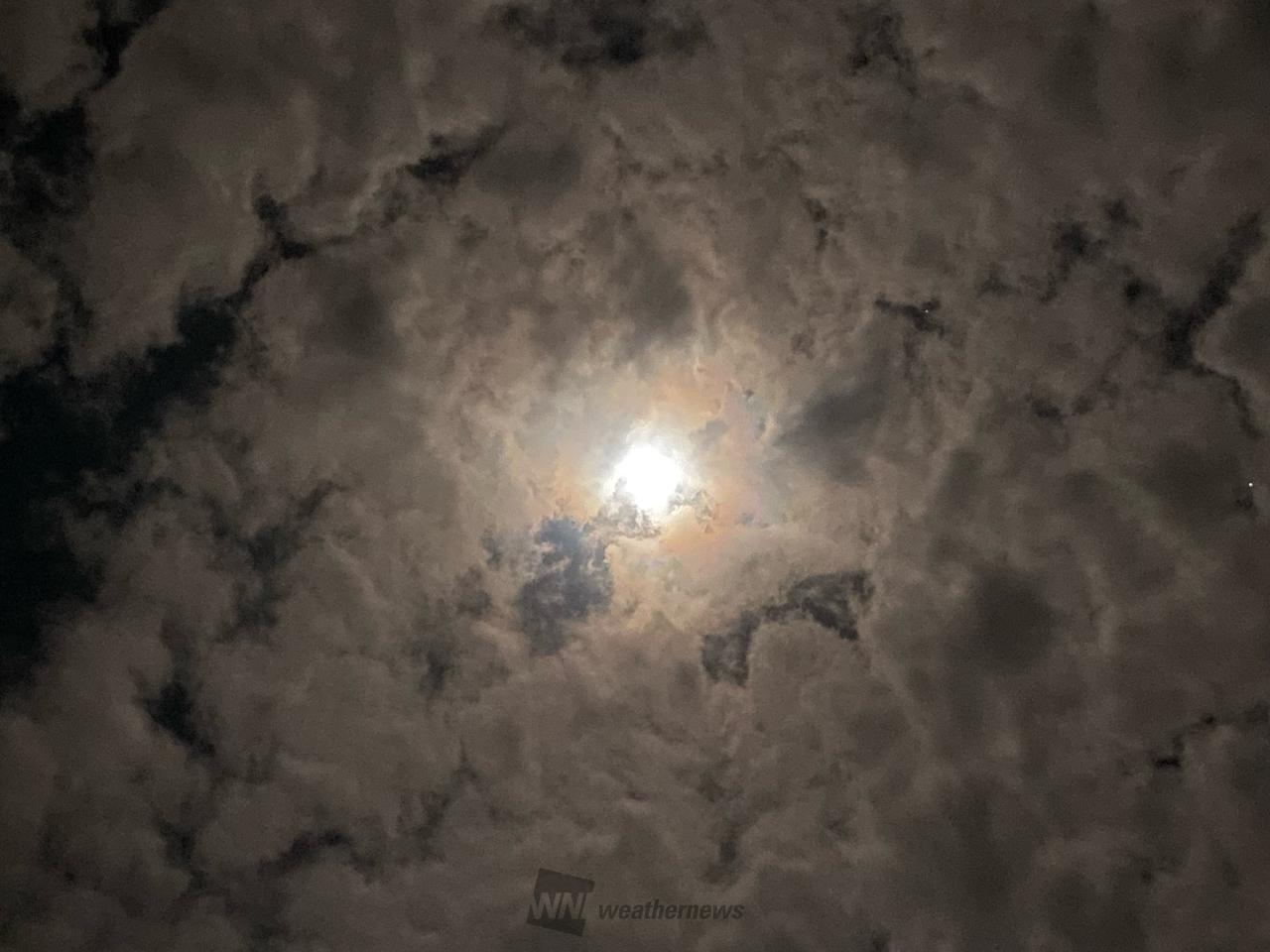 6:45ほぼ天頂の空 モコモコうろこ雲の | 静岡県島田市 | くんリボ | ウェザーニュース
