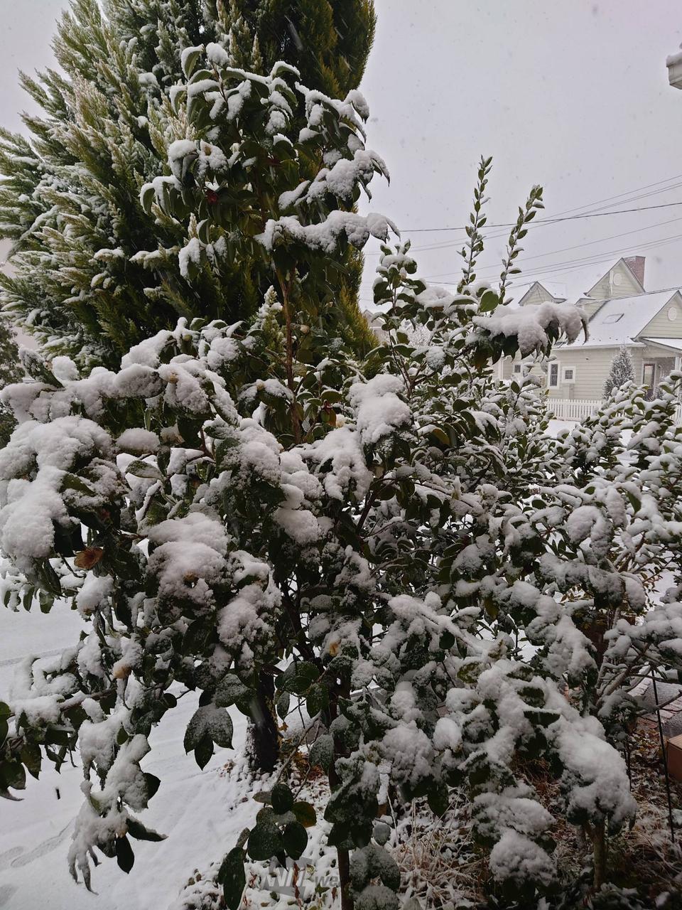 東北太平洋側でも雪 注目の空の写真 ウェザーニュース