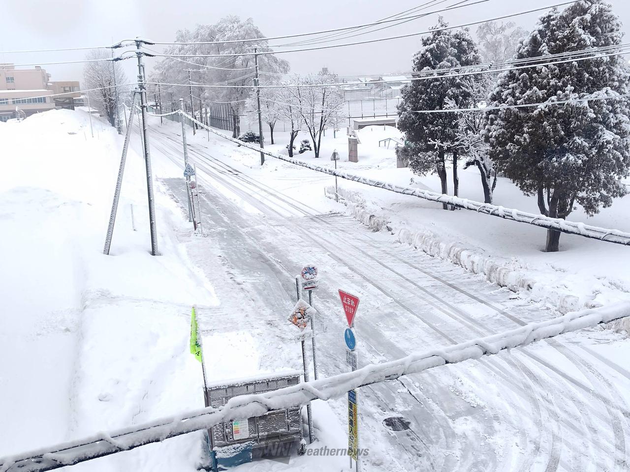 雪❄️雨☔️の状況 注目の空の写真 ウェザーニュース