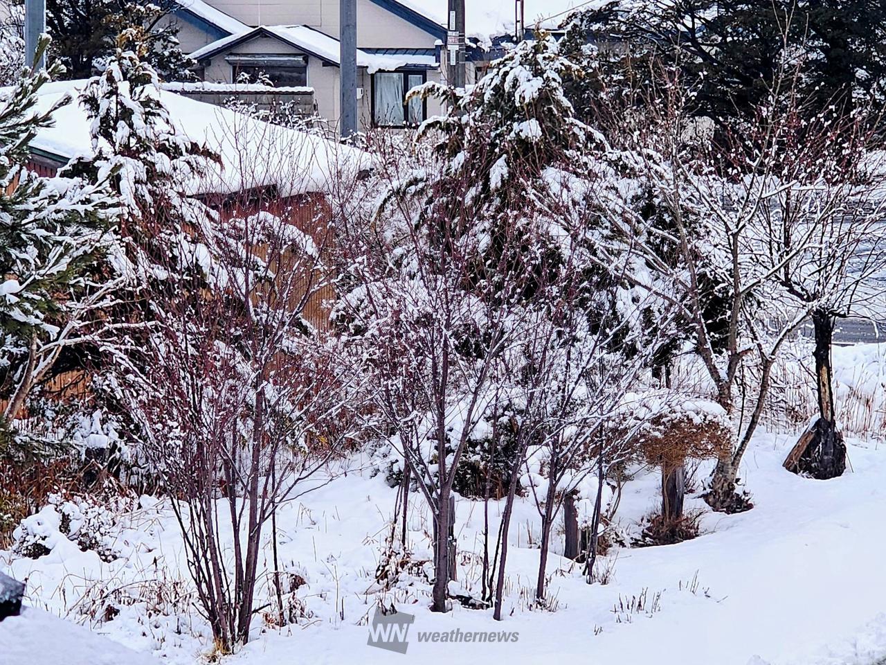 雪❄️雨☔️の状況 注目の空の写真 ウェザーニュース