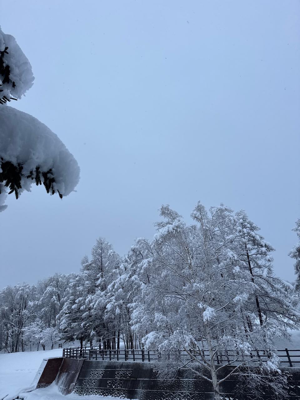 雪❄️雨☔️の状況 注目の空の写真 ウェザーニュース