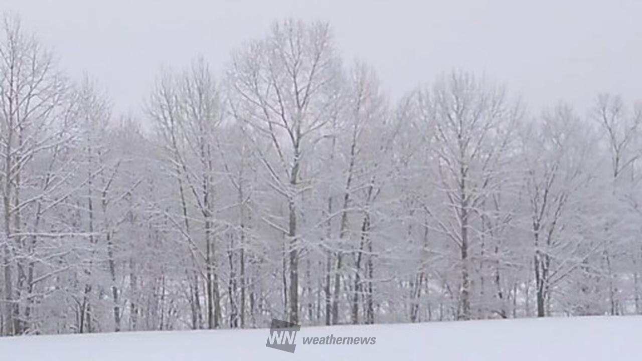 雪❄️雨☔️の状況 注目の空の写真 ウェザーニュース