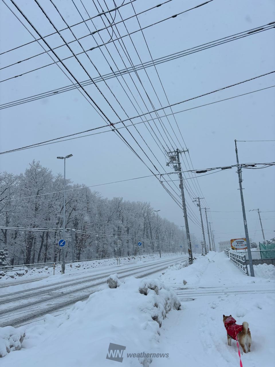 雨雪・風リポート
