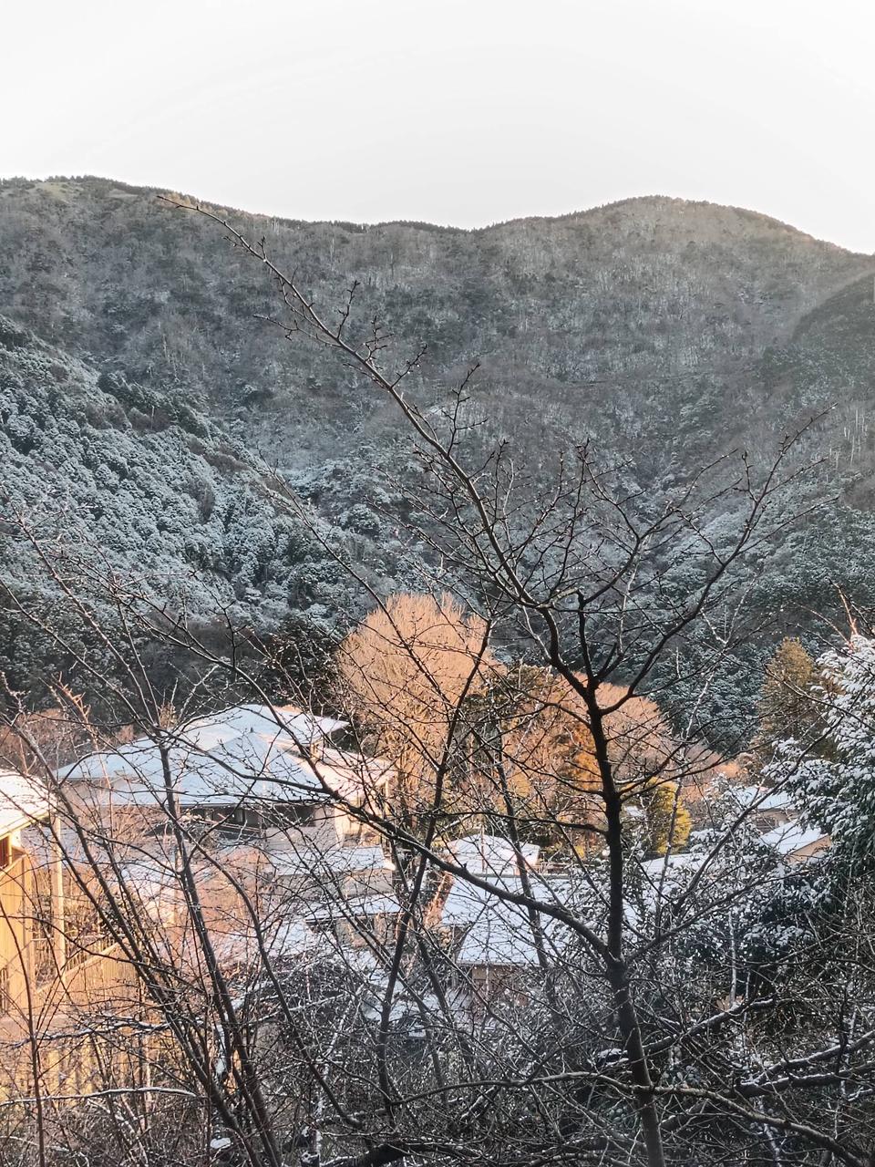箱根の山は朝日に映...