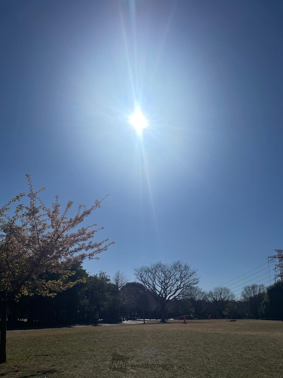 今日 の 天気 市川