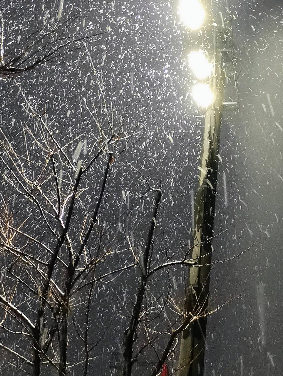 日本海側は吹雪に注意 注目の空の写真 ウェザーニュース