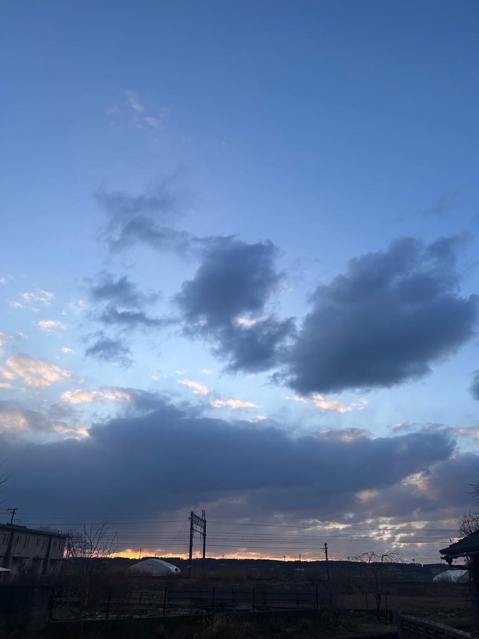 こんばんは。帰宅...