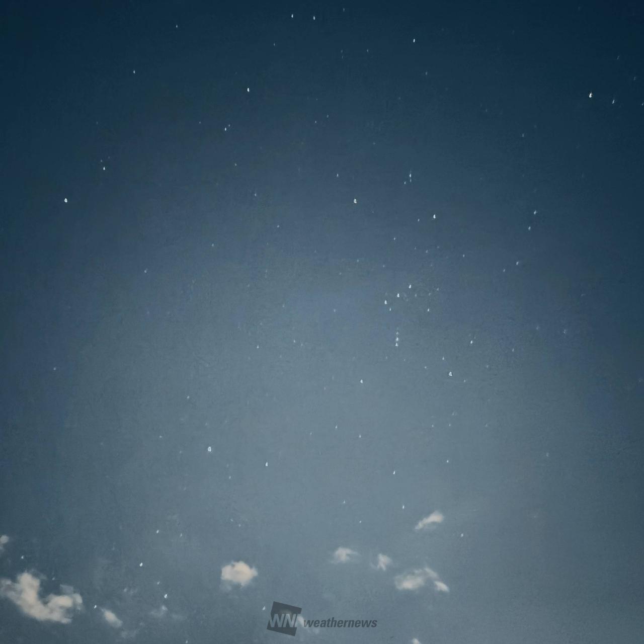 南の空冬の大三角...