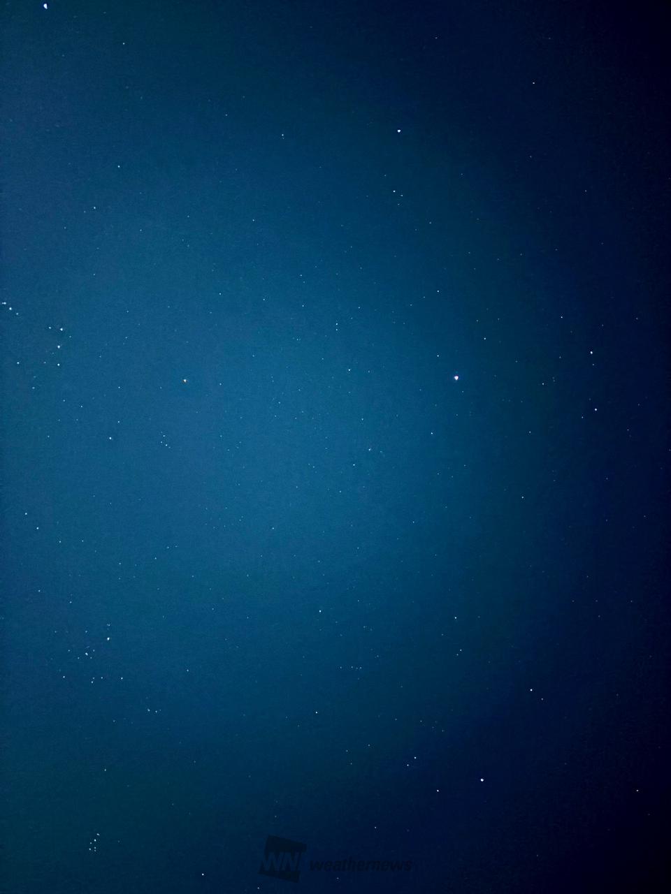 桜を撮ったついでに...