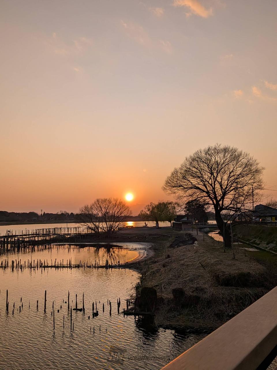 眩しい夕焼け 注目の空の写真 ウェザーニュース