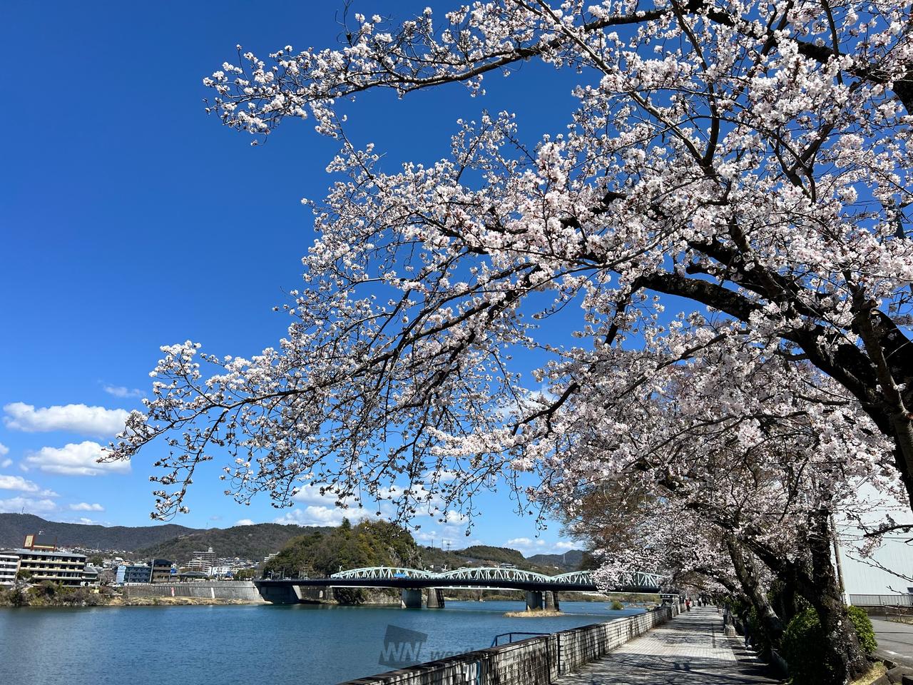 犬山市木曽川河畔一...