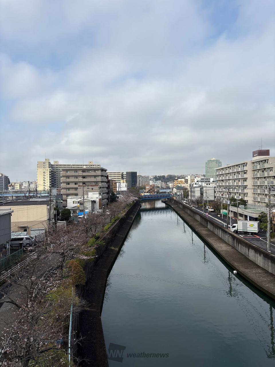 横浜 市 西区 天気