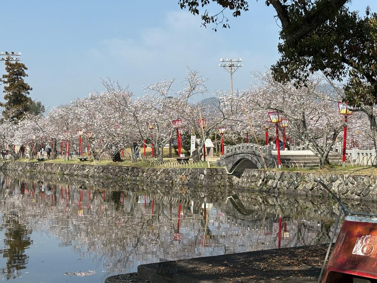 3月29日(日)朝...
